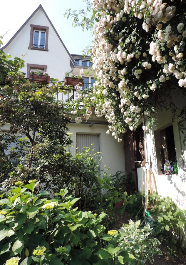 Eckbolsheim Au-Dessus Du Jardin Appartement Climatise מראה חיצוני תמונה